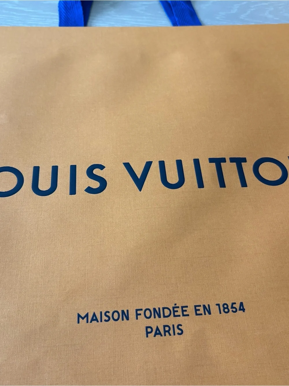 Louis Vuitton Medium Large Shopping Gift Bag